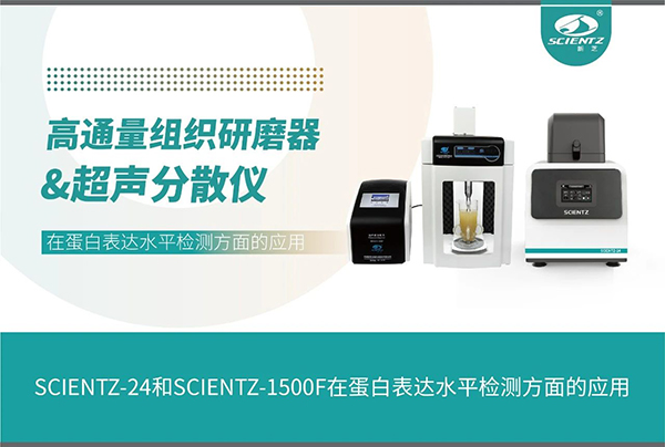 研磨仪与分散仪在蛋白表达水平检测方面的应用