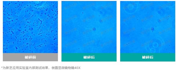 实验结果